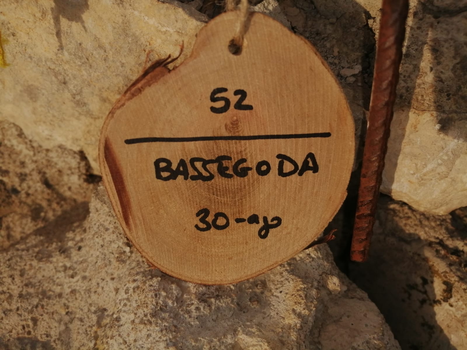 52ª i 53ª ascensions de @la100pics – Bassegoda i Mare de Déu del Mont