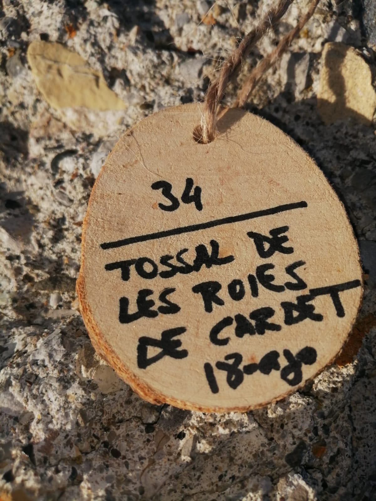 34ª ascensió de @la100pics – Tossal de les Roies de Cardet
